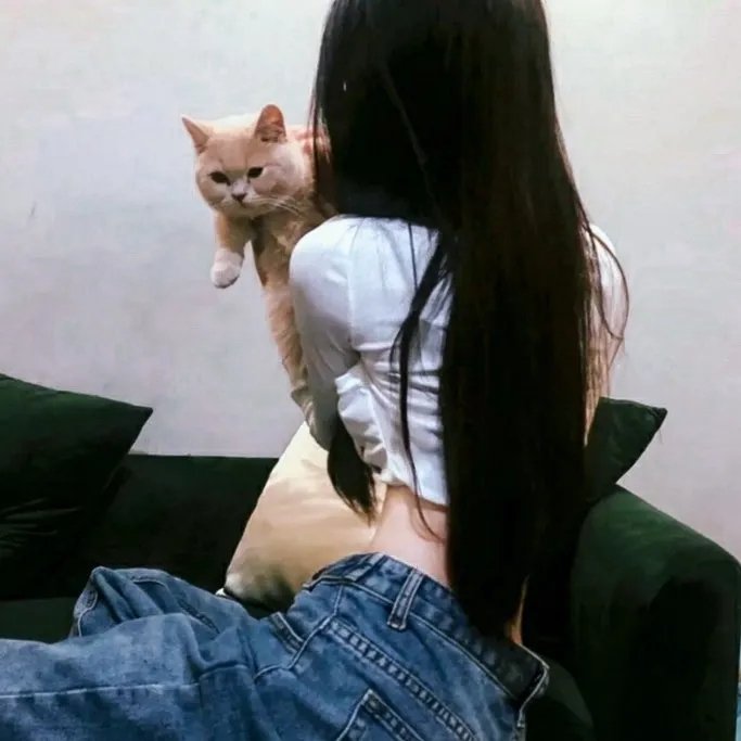 欢乐喜剧人 老友季 在线观看封面